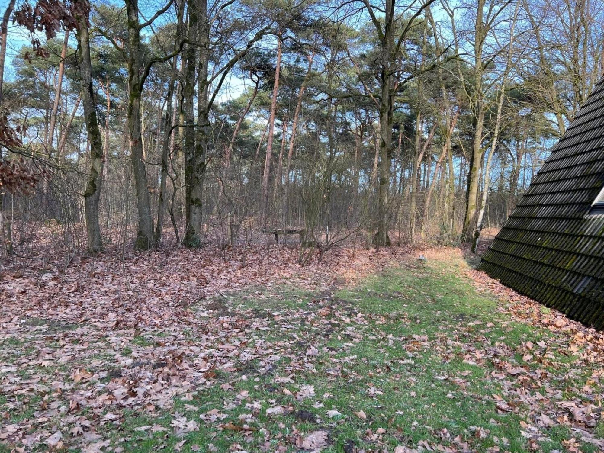 Lovely Holiday Home In Limburg Amid Lush Forest Stramproy Exteriör bild