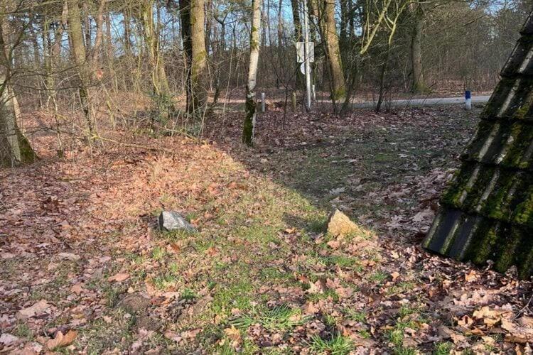 Lovely Holiday Home In Limburg Amid Lush Forest Stramproy Exteriör bild
