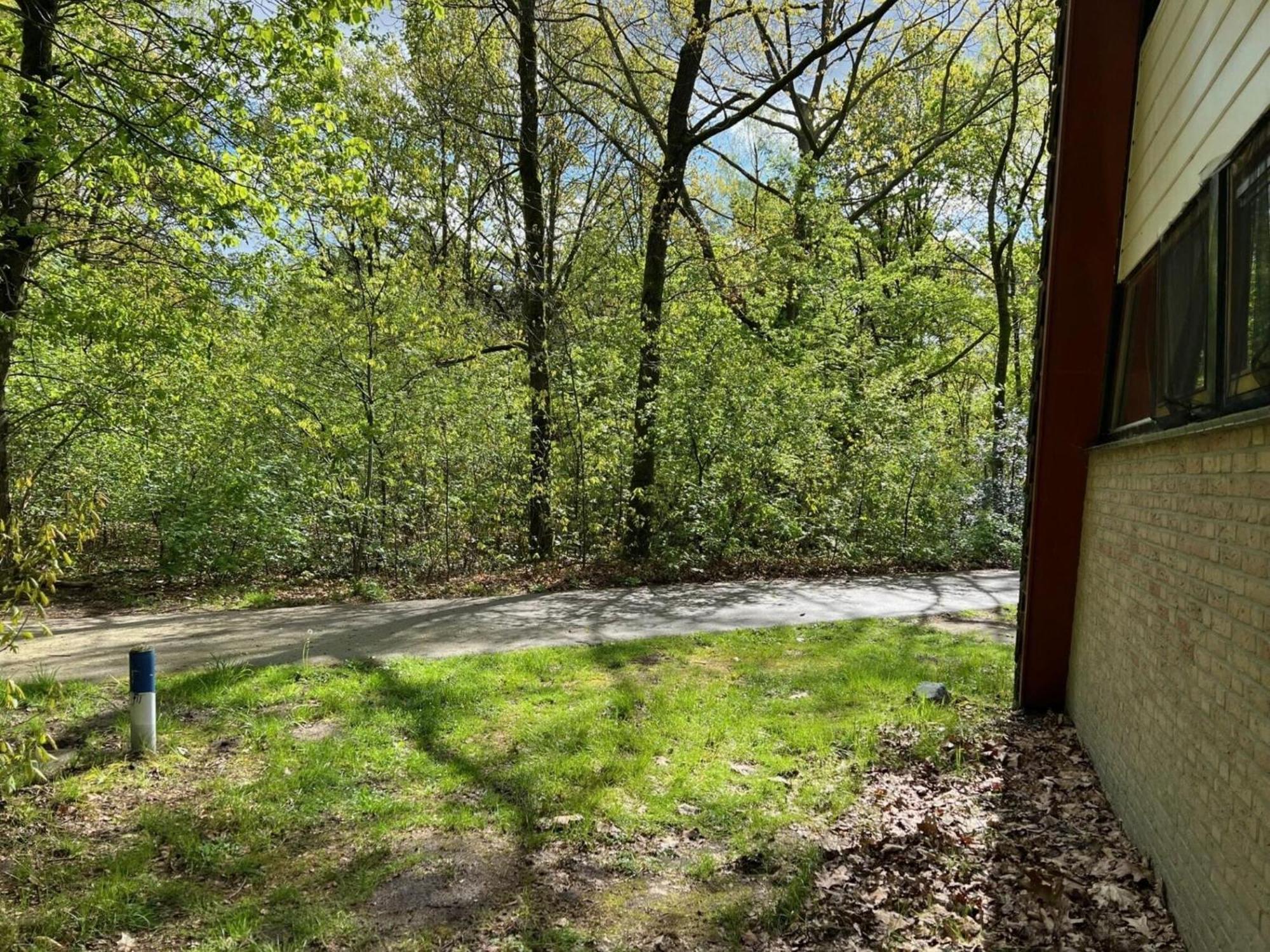 Lovely Holiday Home In Limburg Amid Lush Forest Stramproy Exteriör bild